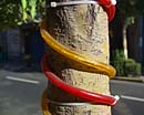 tubos rojos y amarillos en tronco del arbol