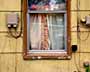 Window & Coaxial Cables