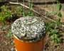 Concrete Post Top