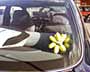 Rear Car Window & Toy