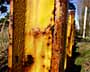 Rusty Yellow Steel Thing