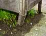Bent Foot Mailbox & Grass