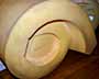 Foam Mattress Roll