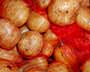 New Potatoes in Red Net