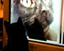 Cat at Computer Screen